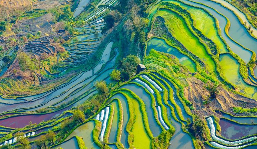 走进舒城县TVC拍摄：解锁本地化场景与创意镜头的完美融合